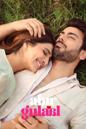 Abir Gulaal (2025) WEBRIP Hindi (MULTI AUDIO) 720p – 480p – 1080p