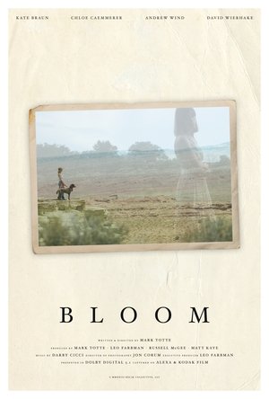 Bloom (2024) WEBRIP Hindi (MULTI AUDIO) 720p – 480p – 1080p