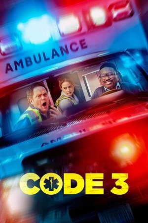Code 3 (2025) WEBRIP Hindi (MULTI AUDIO) 720p – 480p – 1080p